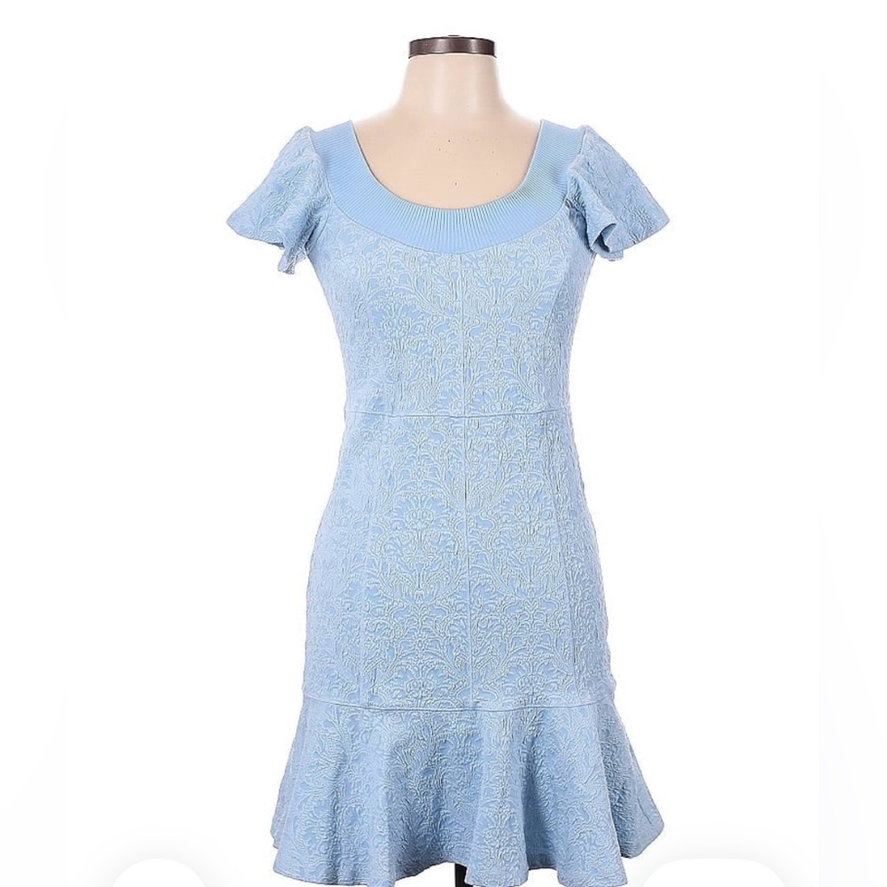Opening Ceremony Jacquard Dress
w/ Ruffle Sleeves and Hem _ Light Blue